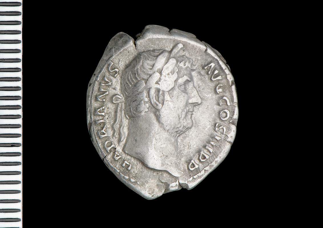 silver denarius (obv.)