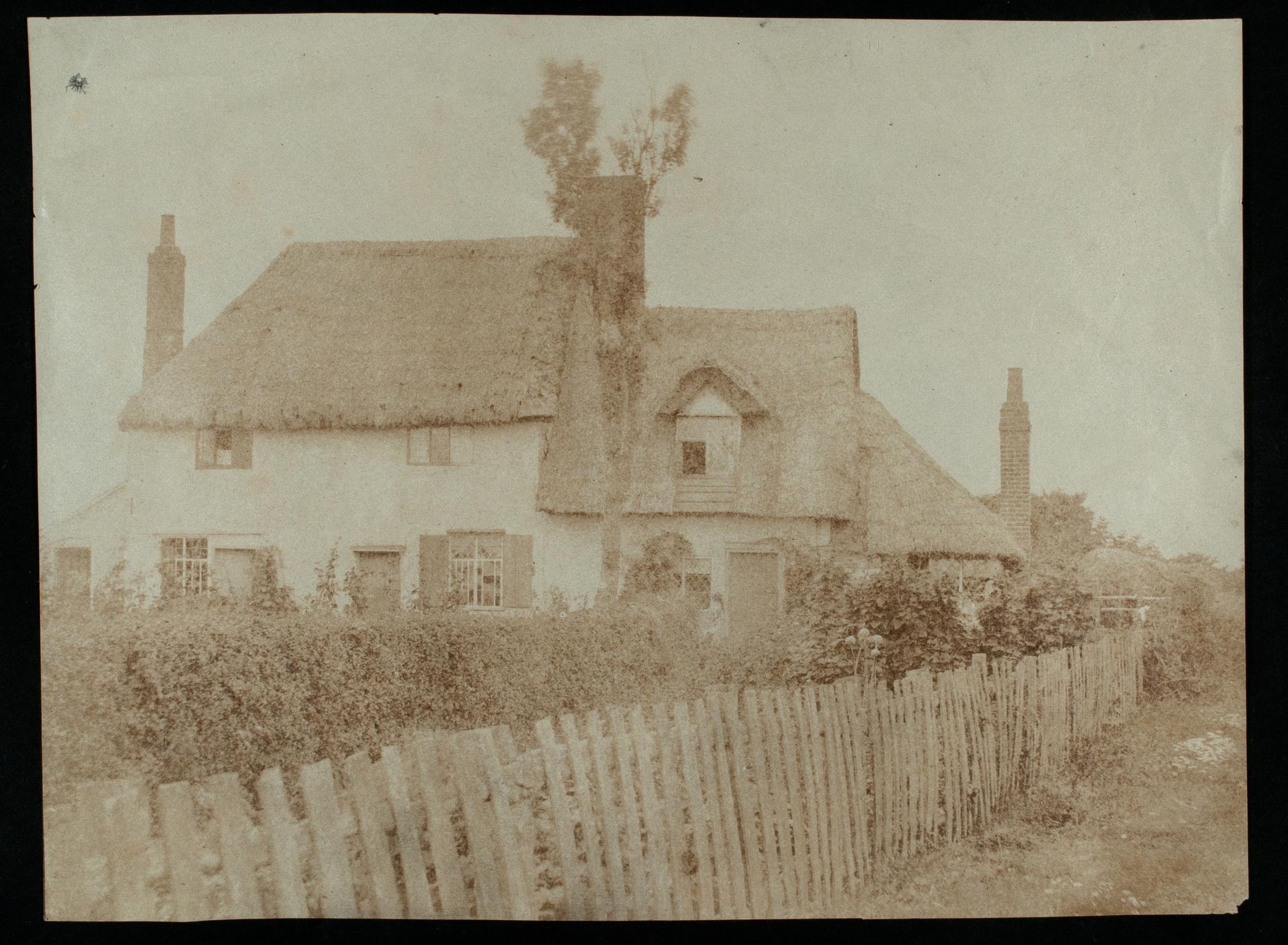 Cottage, photograph