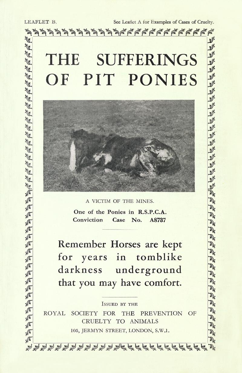 Front Covering of  &quot;The Sufferings of Pit Ponies&quot;