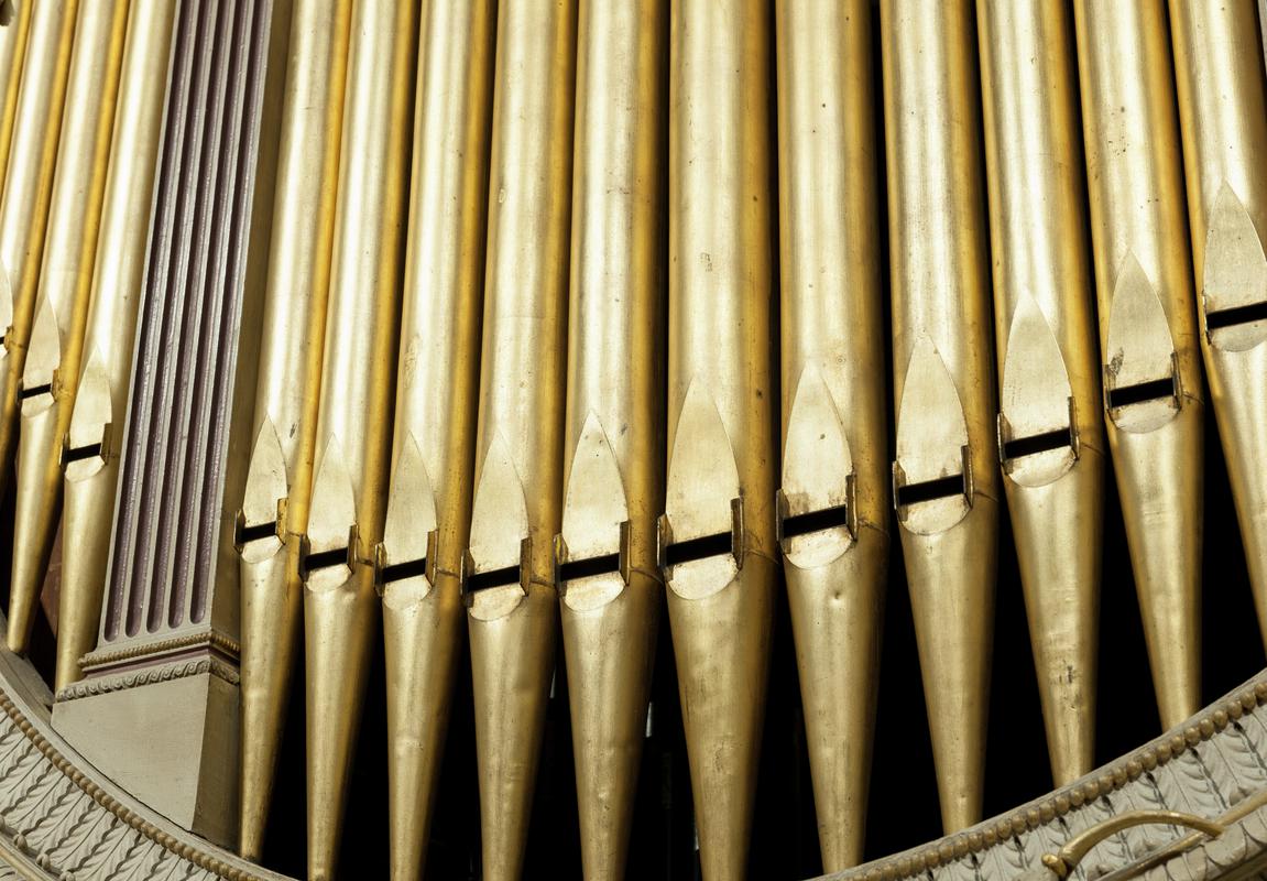 Organ