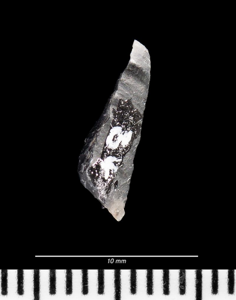 Mesolithic flint microlith