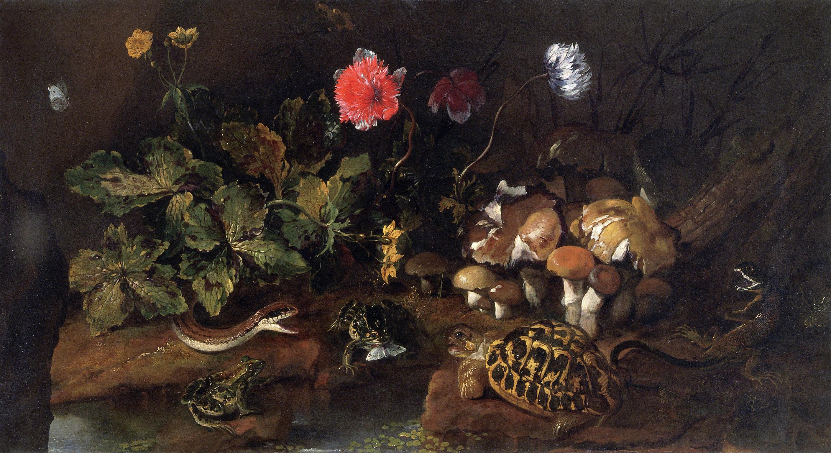 Still life with a snake, frogs, tortoise and a lizard