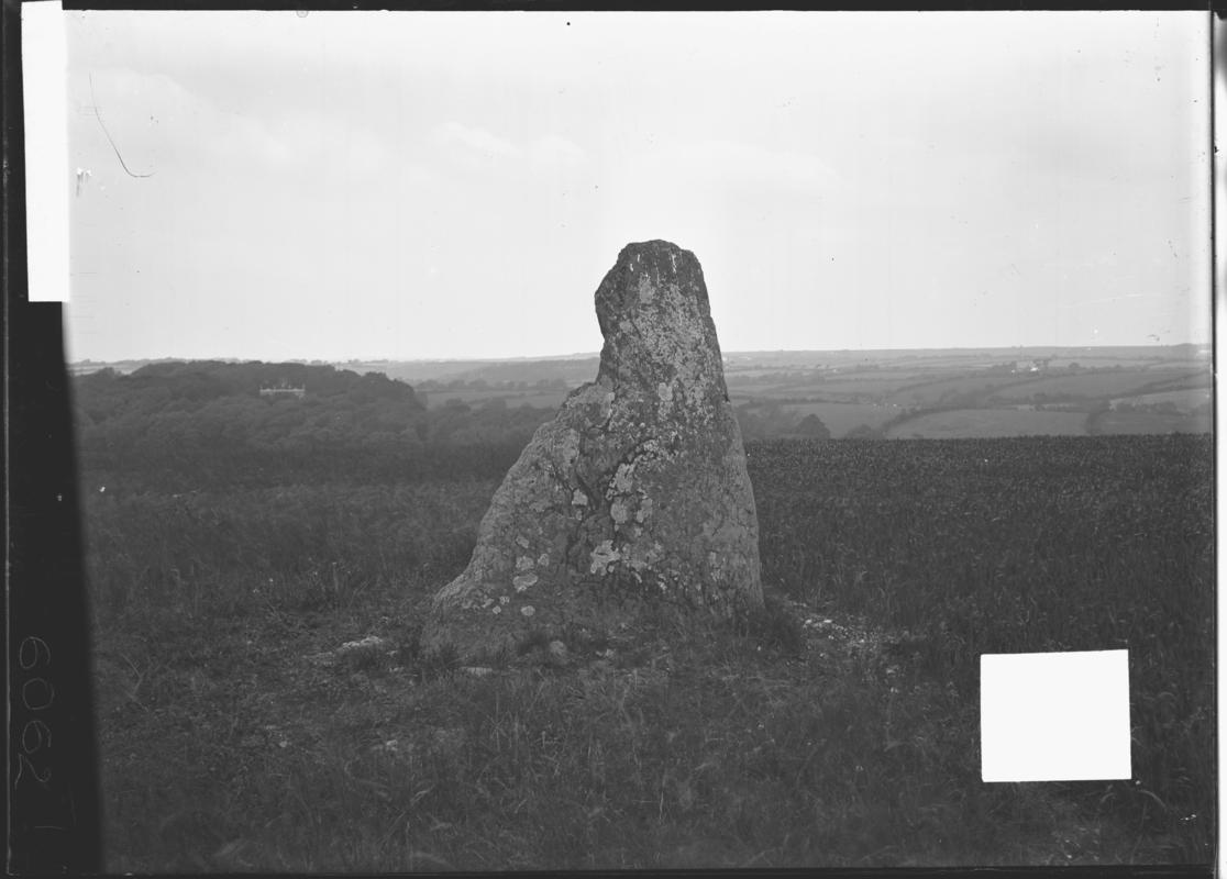 Photographic Negative