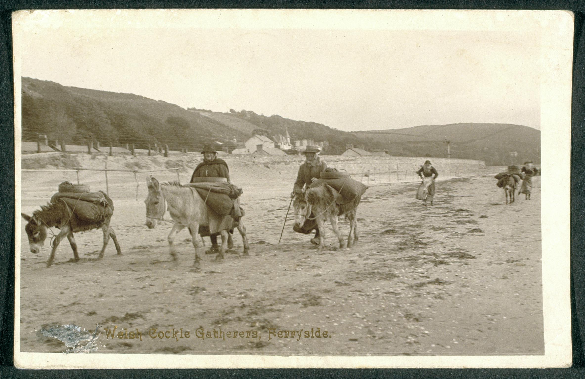 Welsh Cockle Gatherers, Ferryside. (postcard)