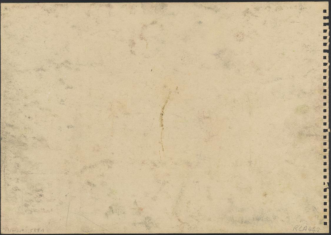 Seascape at Sunset with Flowers & Birds