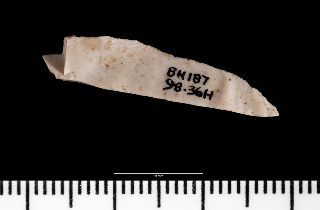 Early Mesolithic flint microlith