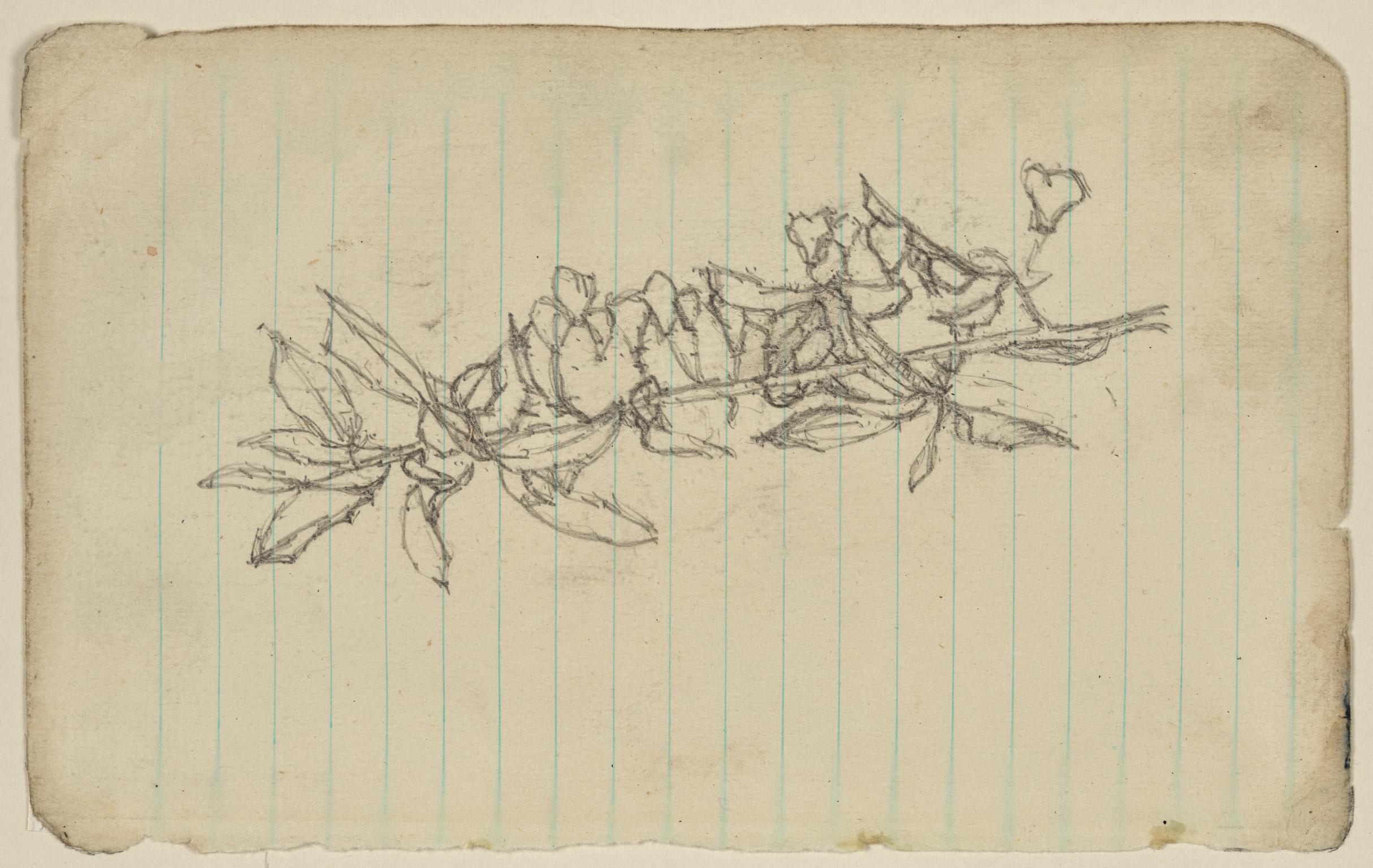 Study of a branch for "The Musicians"