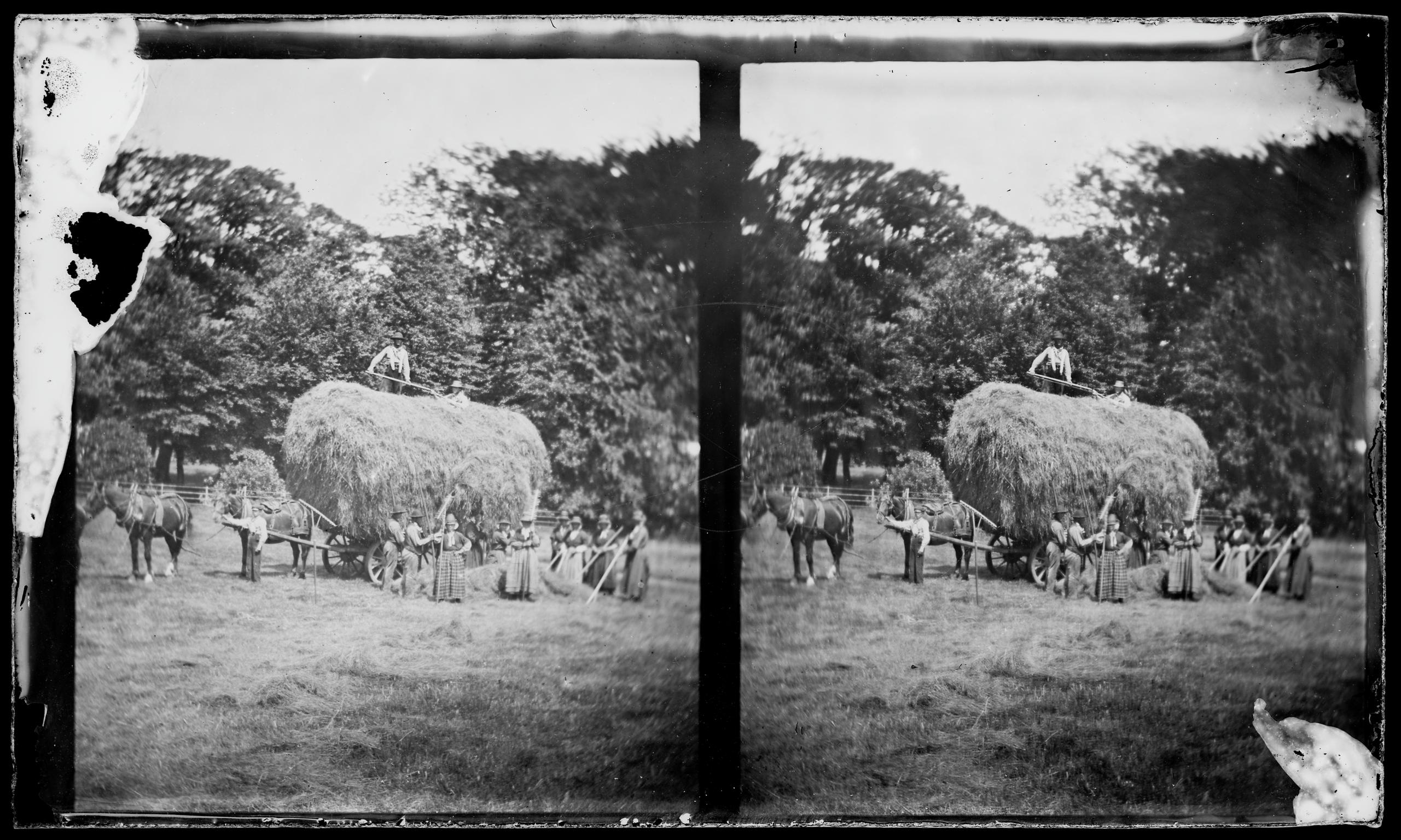 Haymakers, glass negative