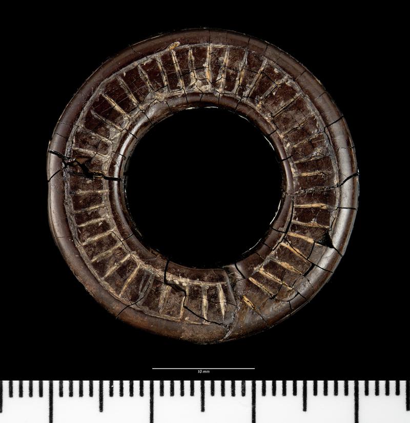 Early Bronze Age jet belt fitting