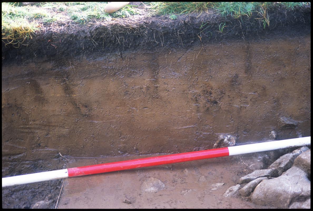 Photographic colour slide