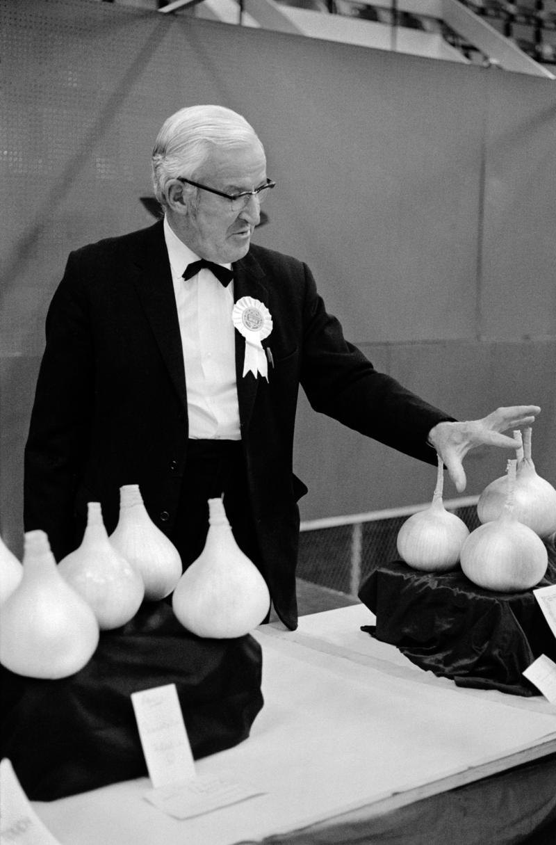 GB. WALES. Aberavon. Judging the Onion section at the Welsh Leek and Onion Championship at th Avon Lido. 1973.