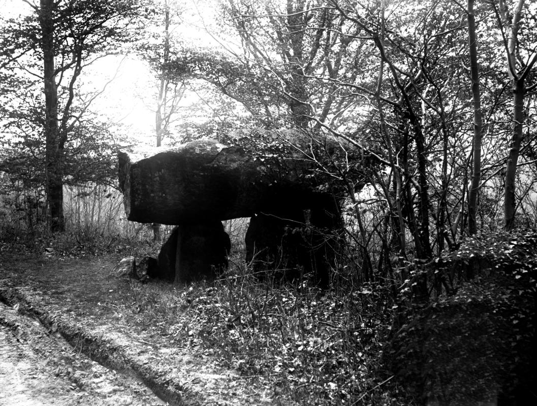 Photographic Negative