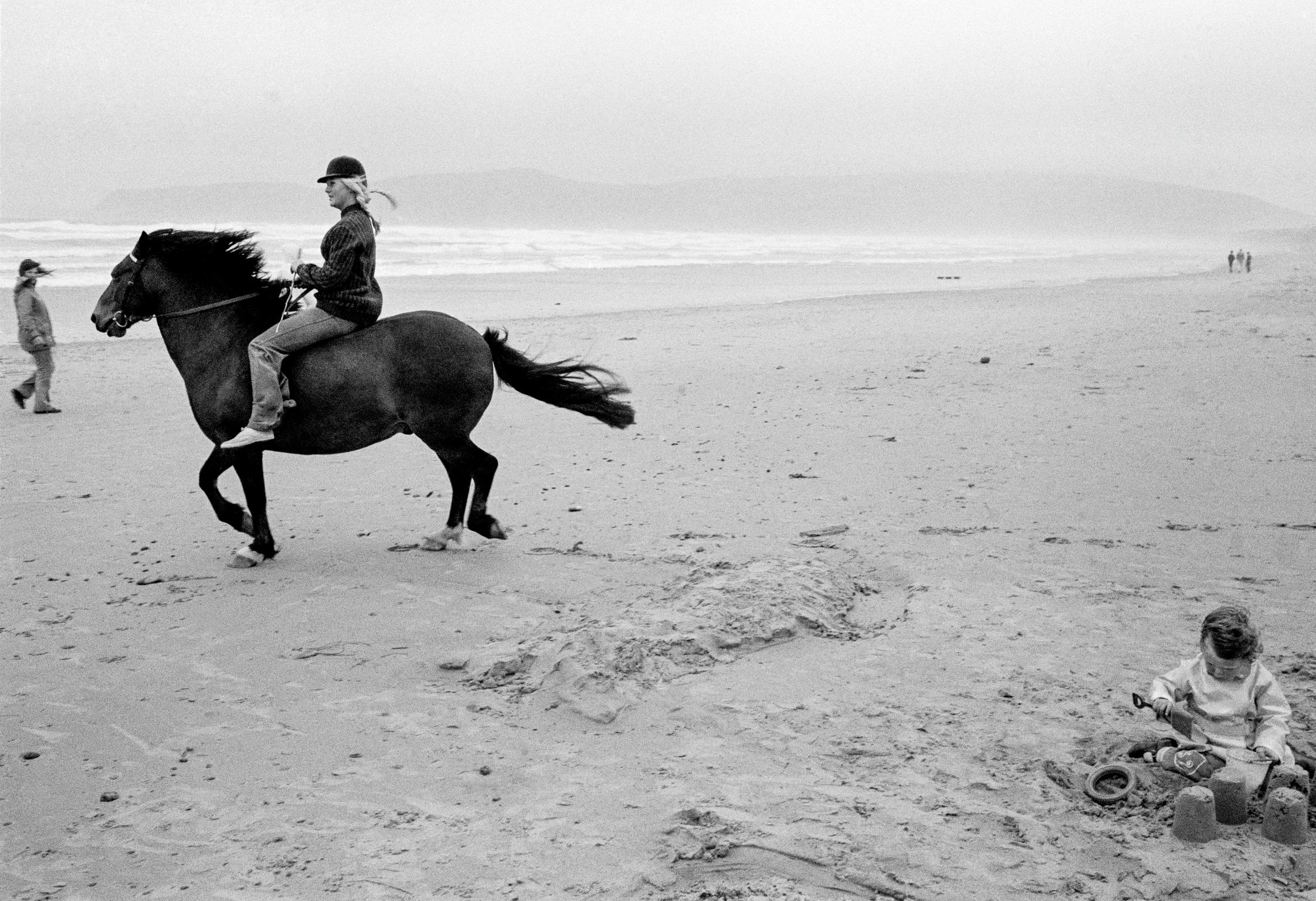 Wind, horse and sandcastles. Abersoch Beach, Wales