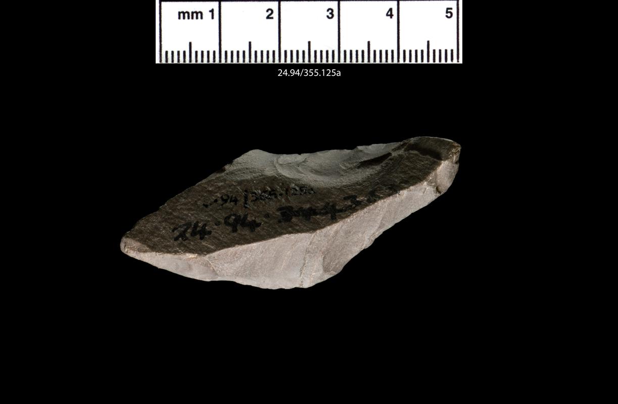 Upper Palaeolithic chert burin