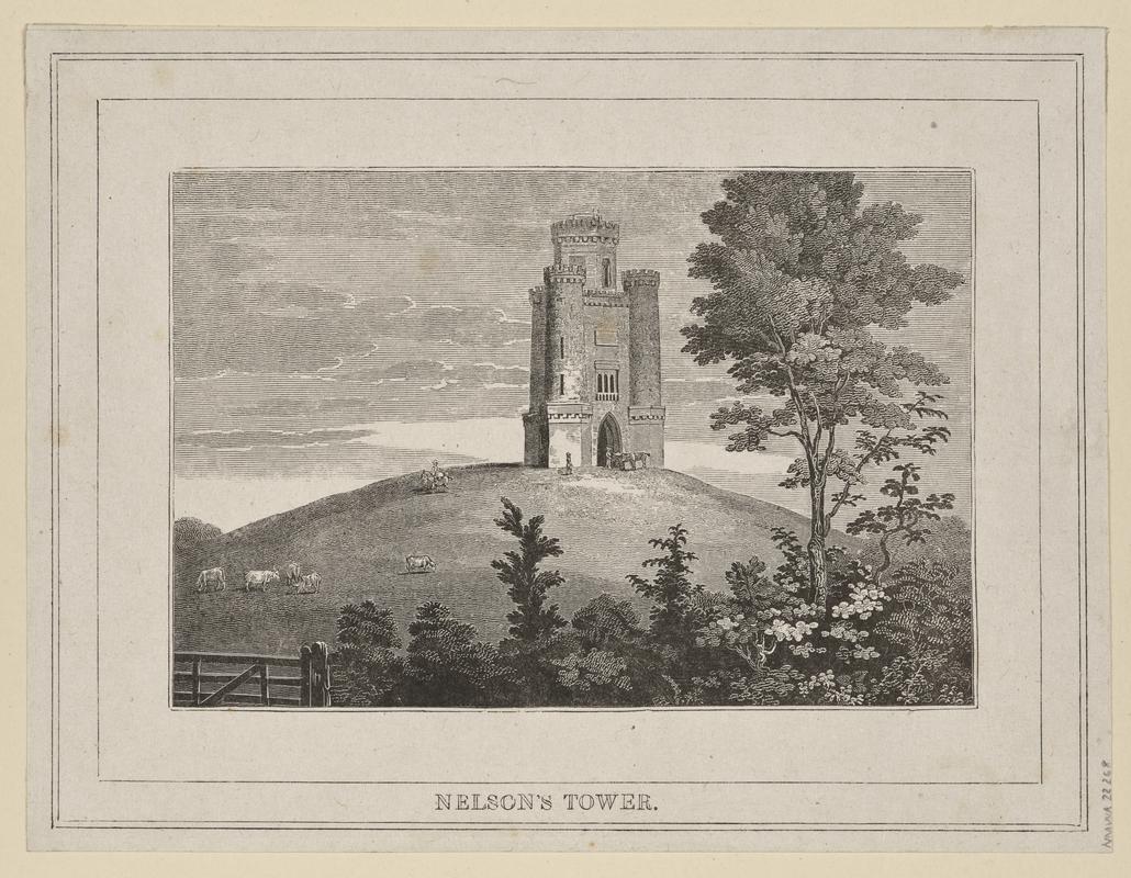 Nelson&#039;s Tower