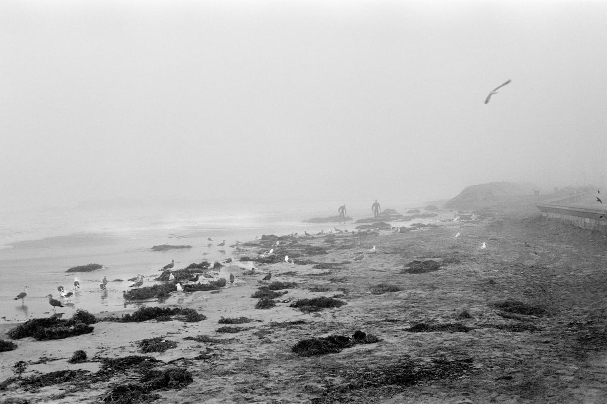 USA. CALIFORNIA. Mission beach in the early morning mist. 2006.