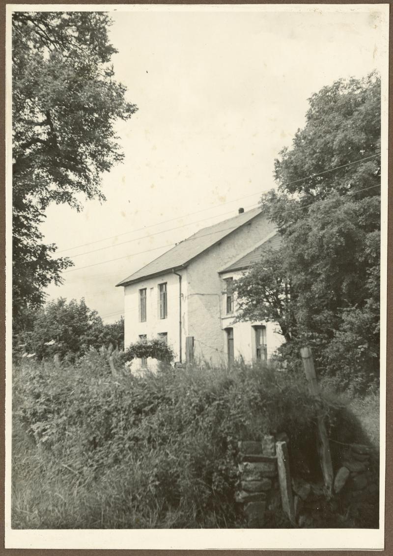 Photograph