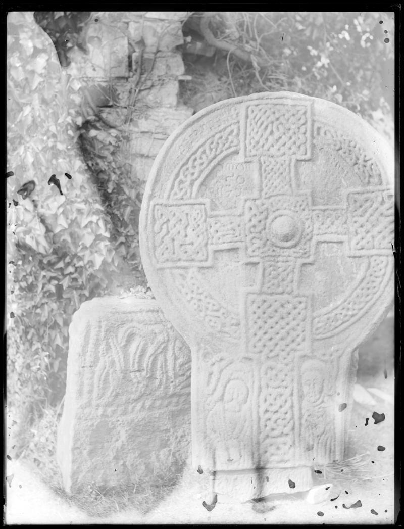 Photographic Negative