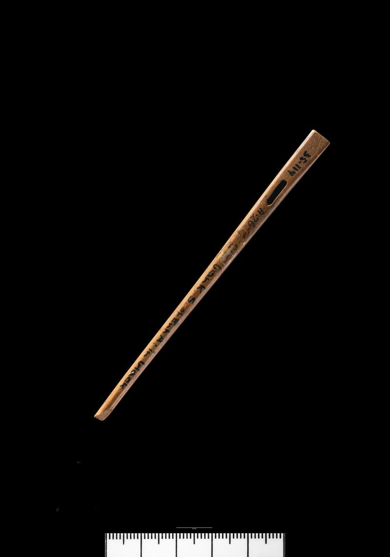 Roman bone needle