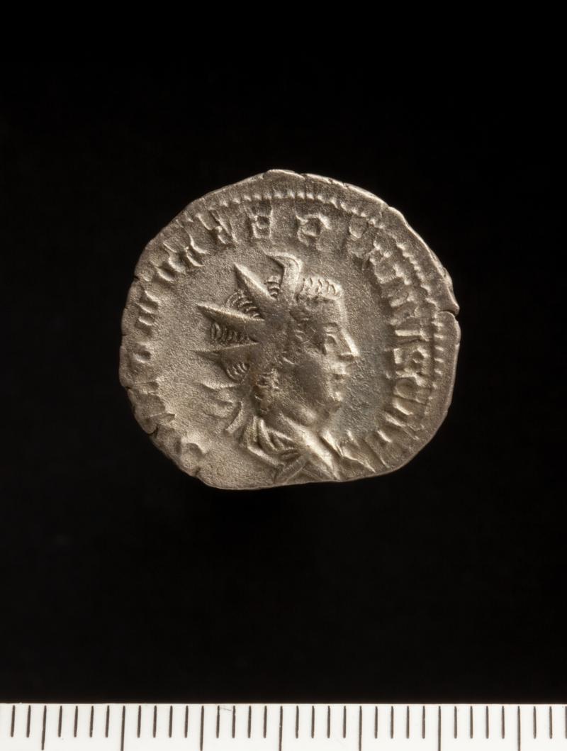 Sully Hoard I (1899)