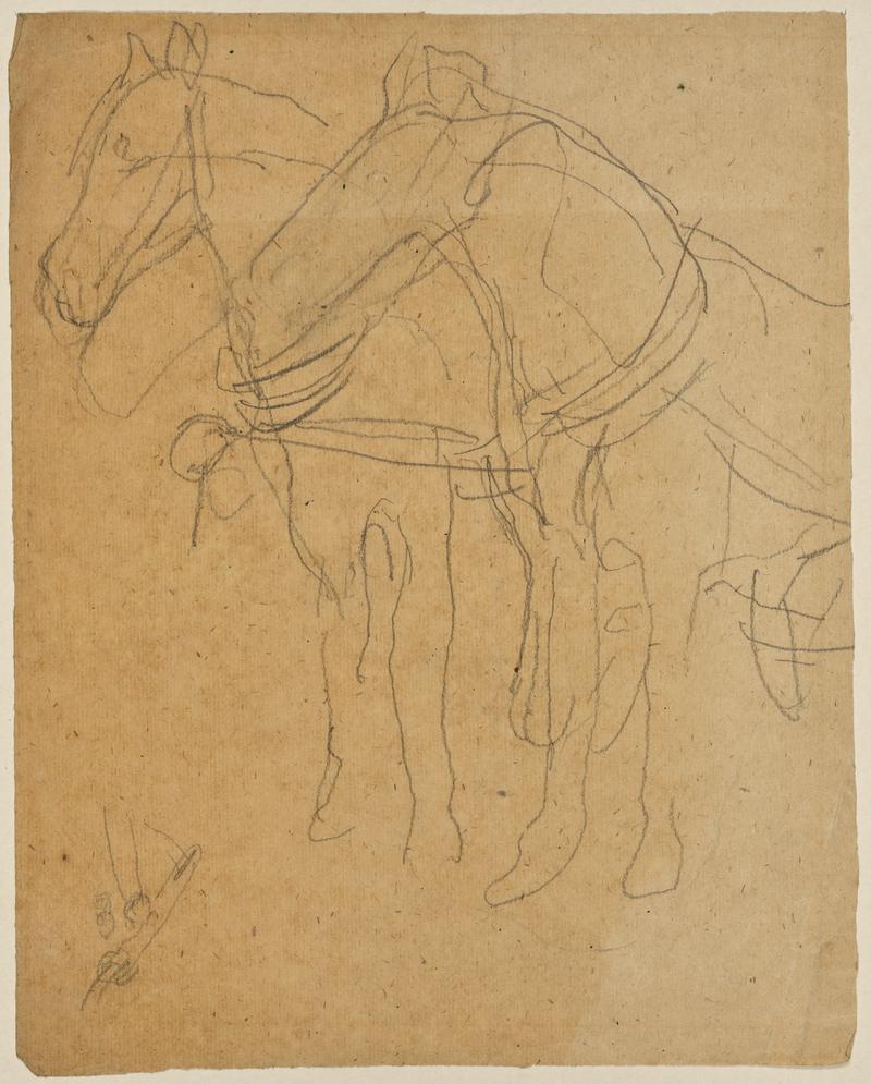 Horses in Harness