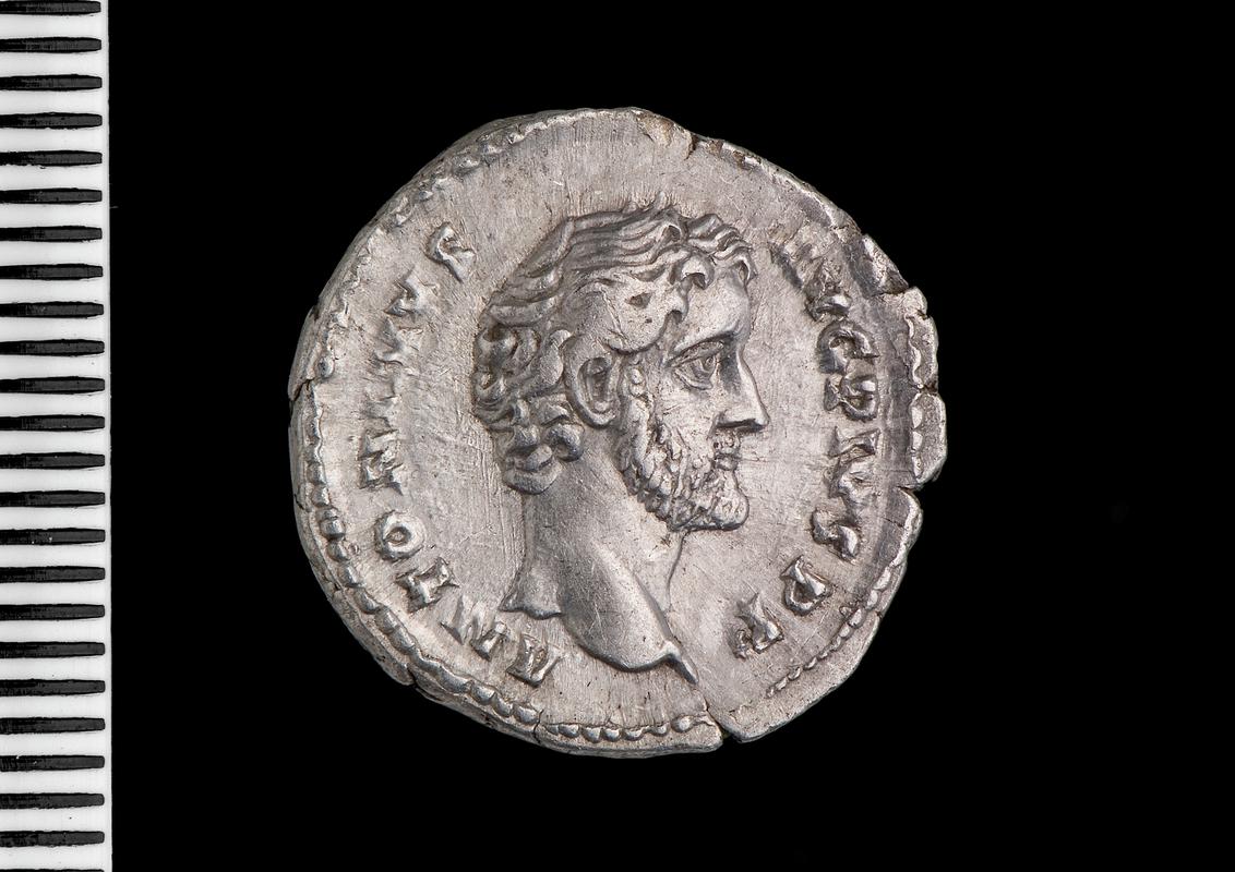 silver denarius (obv.)