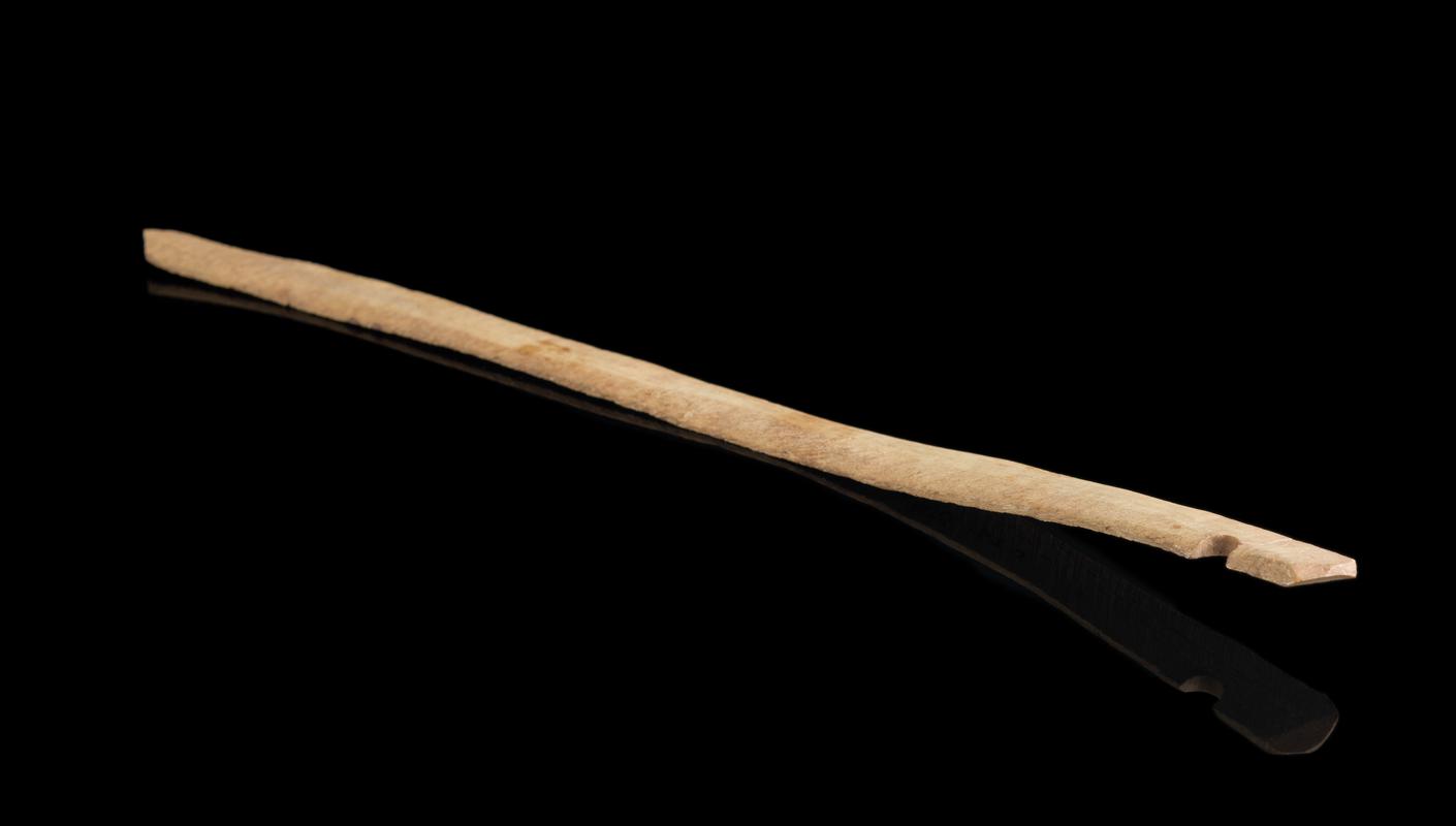 Roman bone ear lath