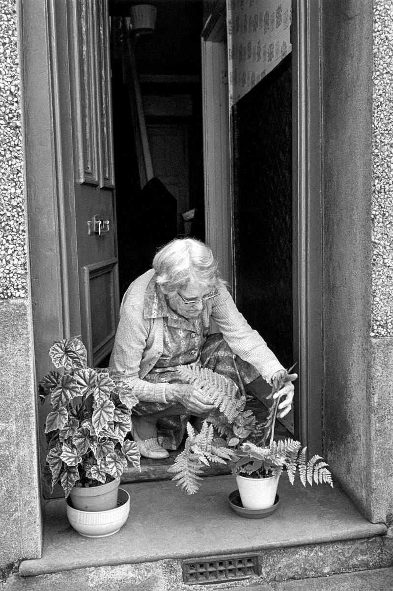GB. WALES. Porthmadog. Attending house plants on the front step. 1976.