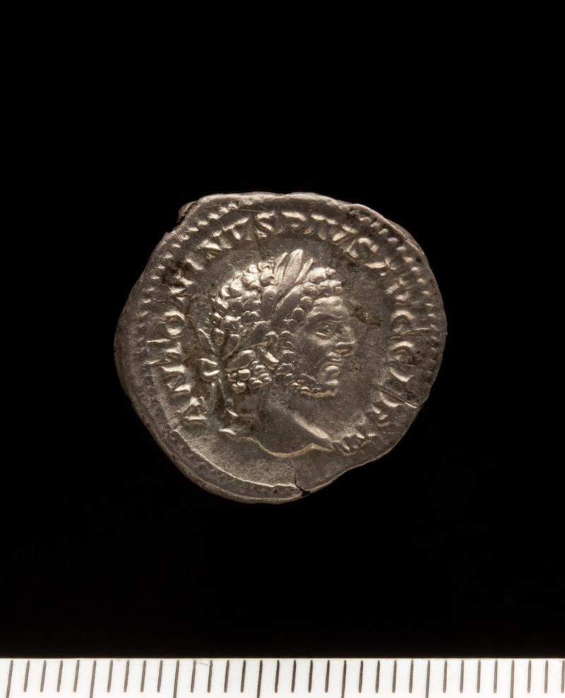 Sully Hoard I (1899) Denarius Caracalla