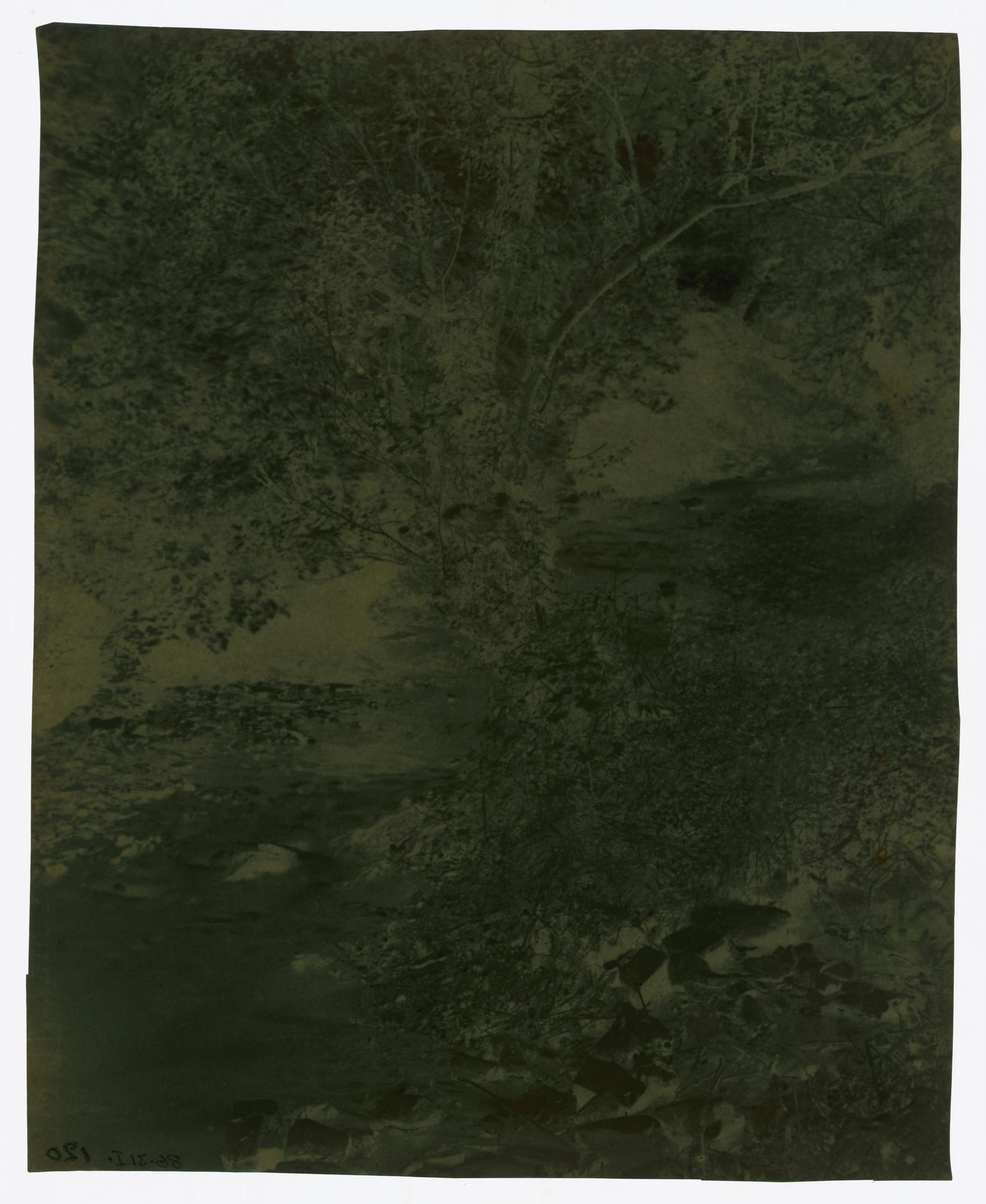 River running through wooded valley, negative