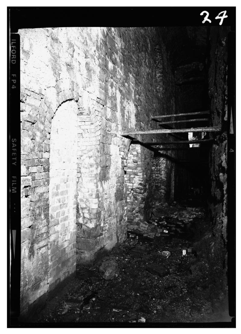 Cyfarthfa Ironworks, negative