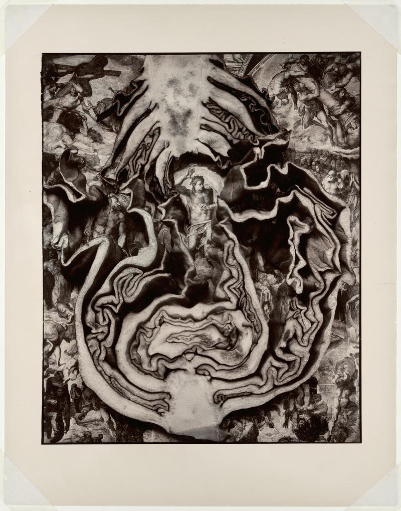 Untitled (Cabbage over image of Michelangelo&#039;s &#039;last judgement&#039; from the Sistine Chapel)