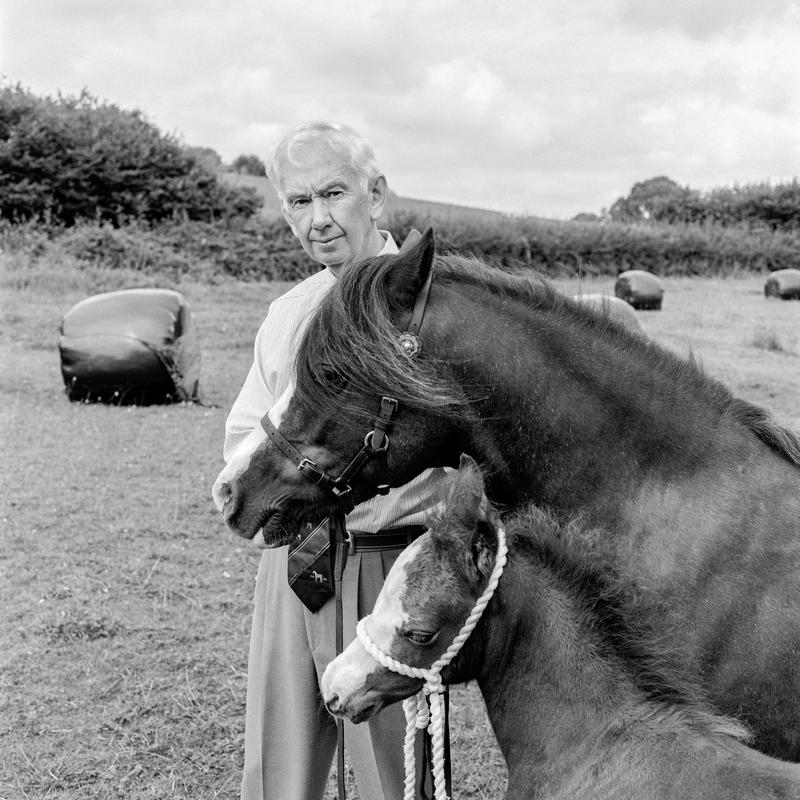 Dr Wynne Davies MBE. Phot Shot: Ceulan Stud, Miskin 19th August 2002. Place and date of birth: Talybont 1932. Main occupation: Breeder of Welsh Cobs / Judge / Writer. First language: Welsh. Other languages: English. Lived in Wales: Always.