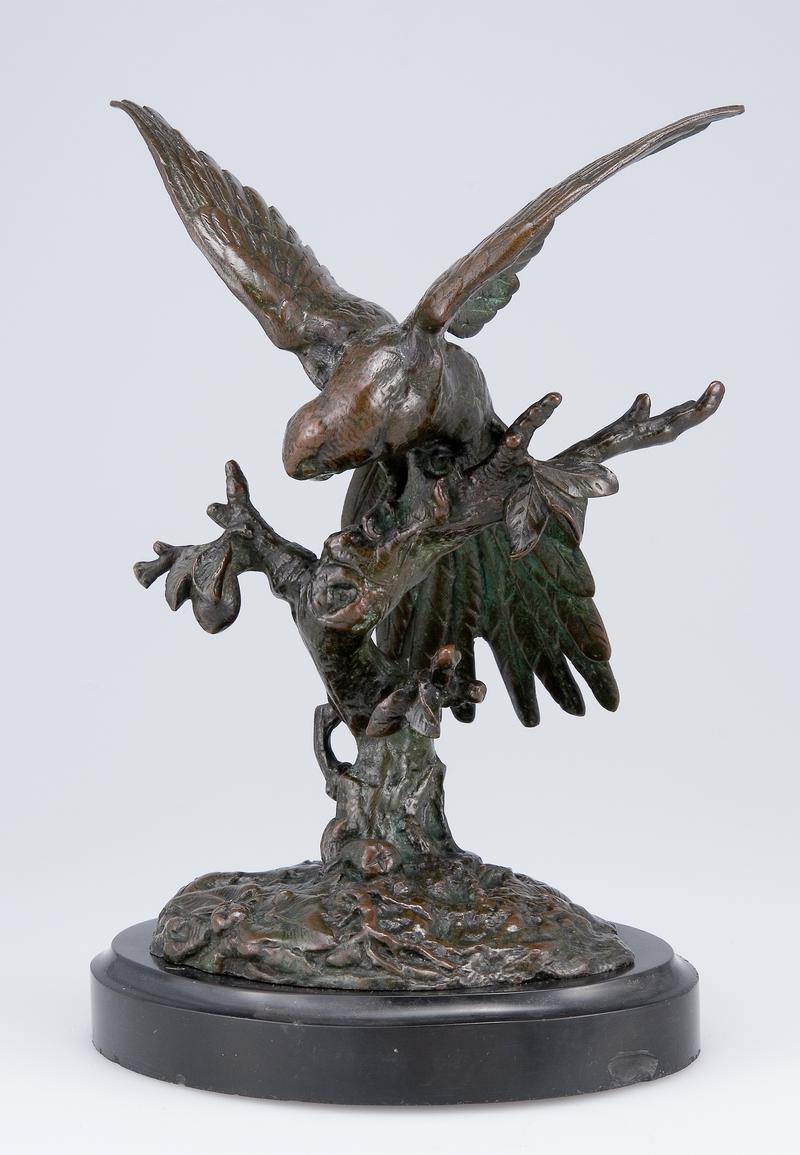 Parakeet perched on a Tree