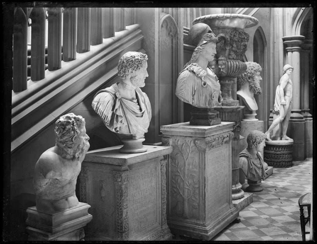 Photographic Negative