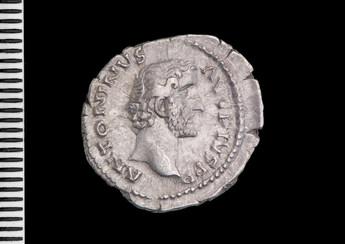 silver denarius (obv.)