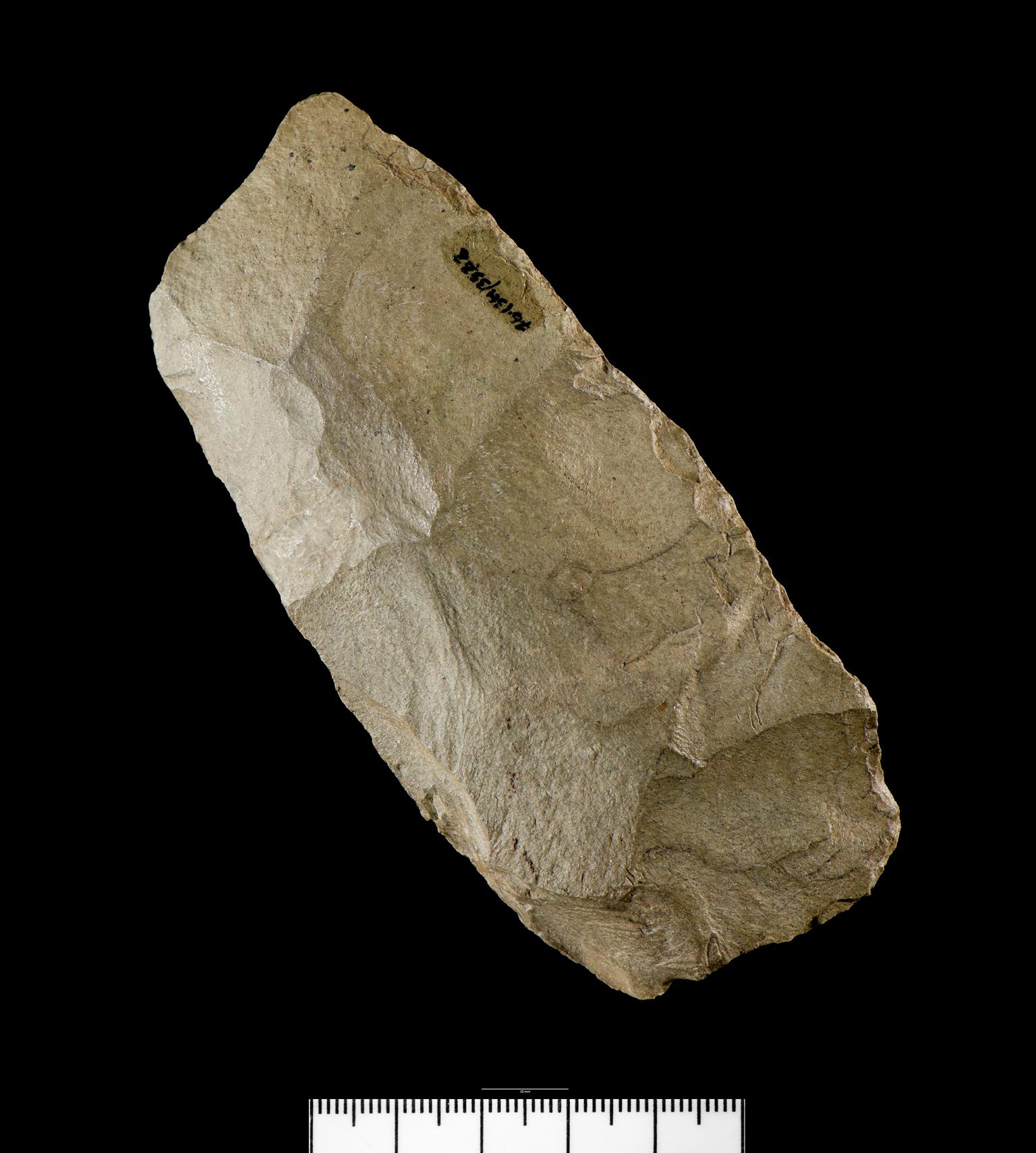 Early Mesolithic stone adze