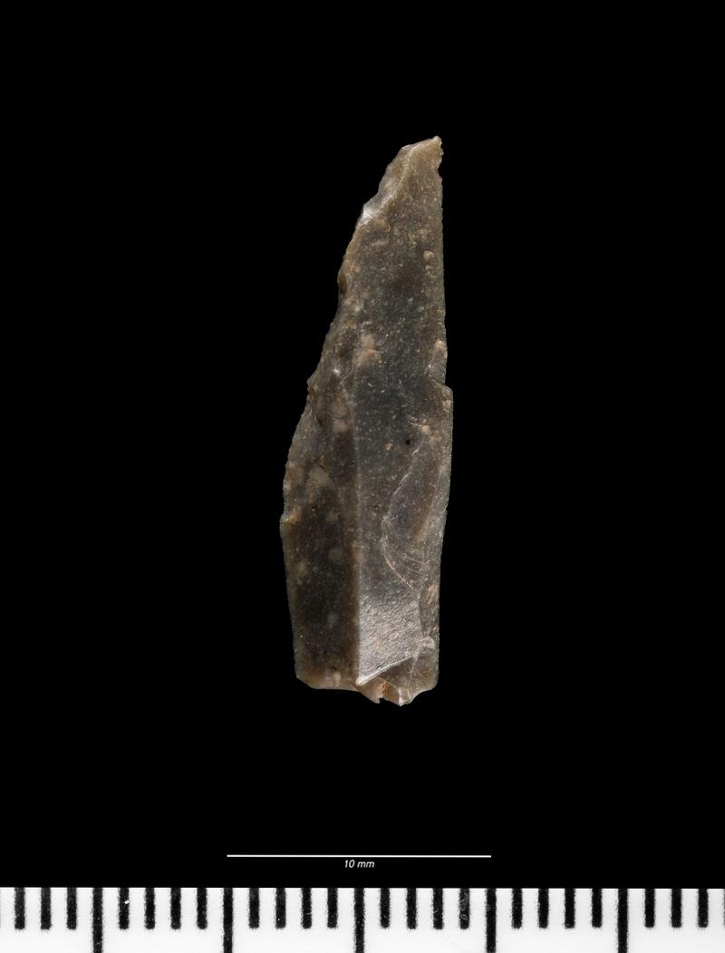 Mesolithic flint microlith