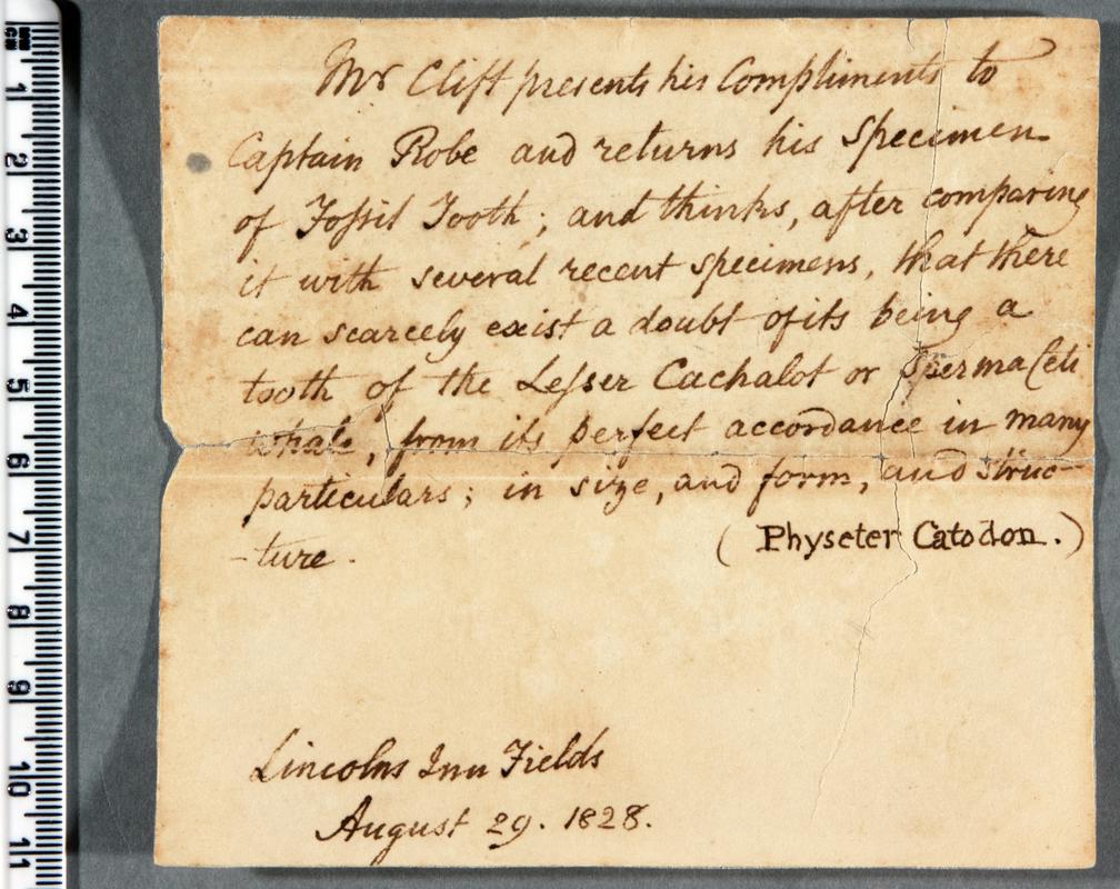 19th century letter