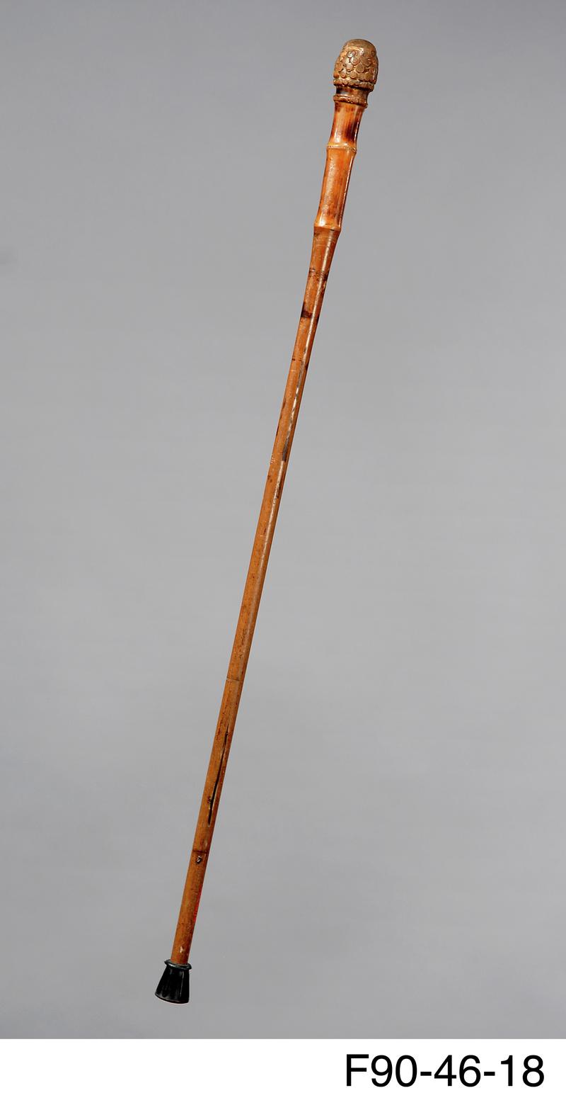 Walking stick