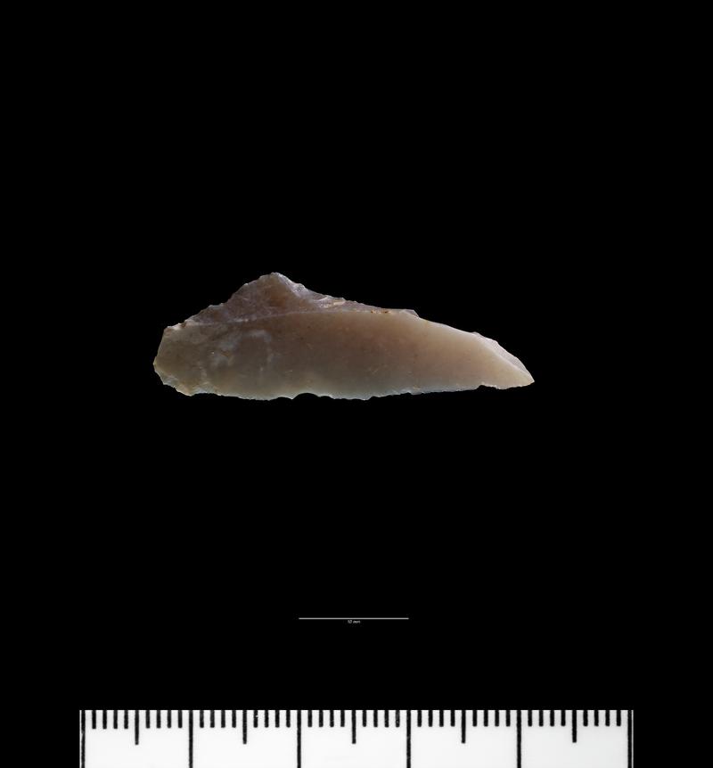 Early Mesolithic flint microlith