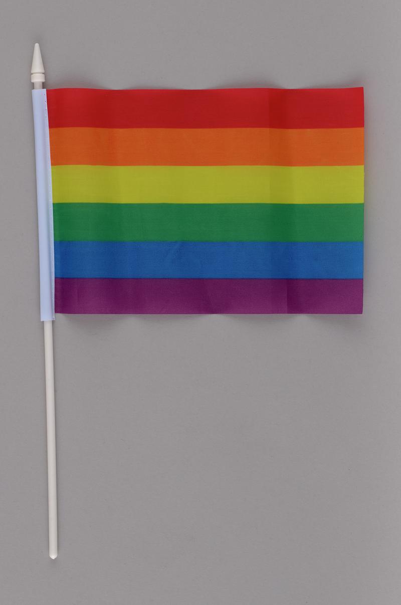Hand held Pride rainbow flag on plastic stick.