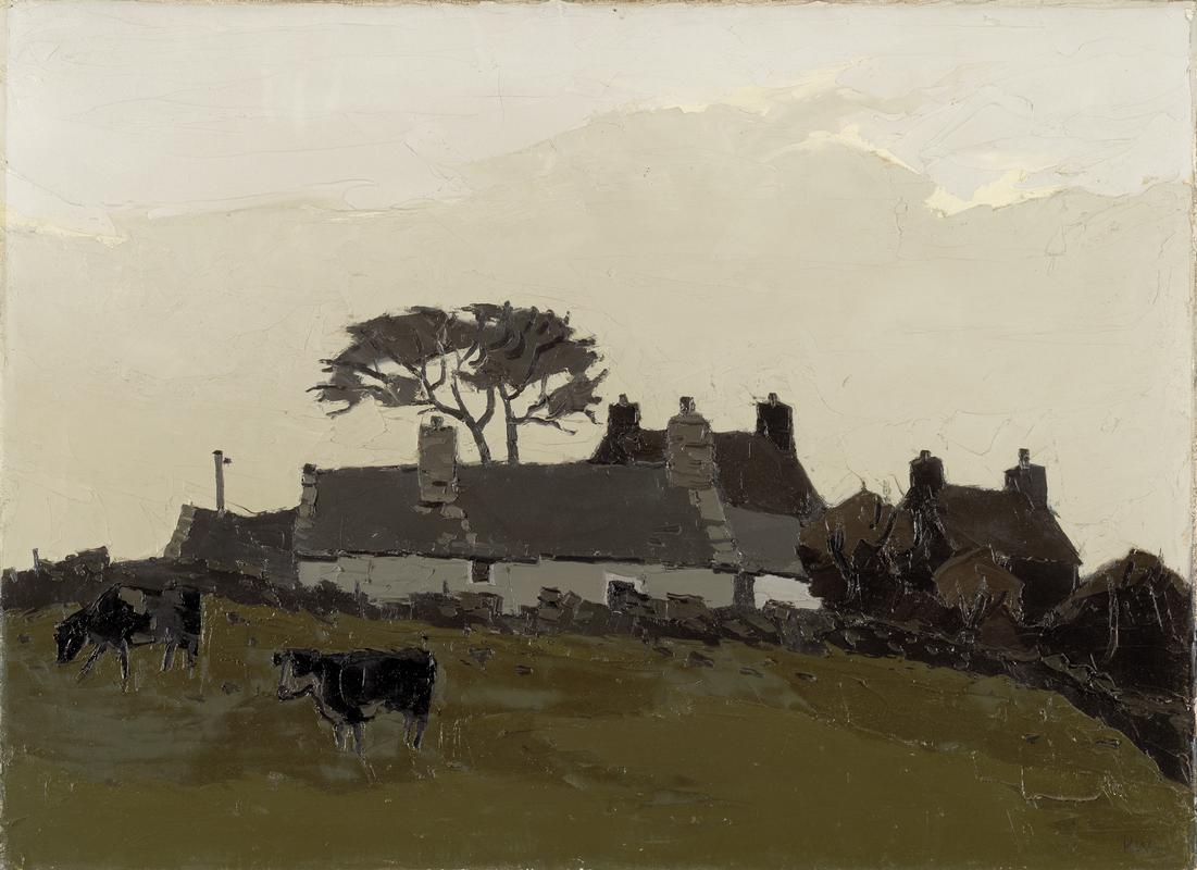 Anglesey Cottages with Cattle