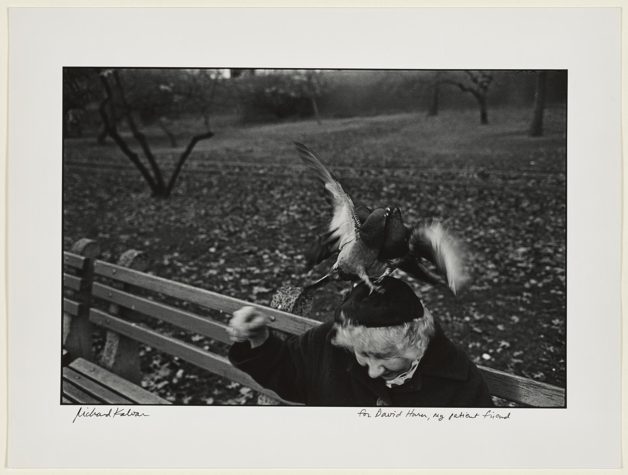 USA. New York. Central Park. Woman with pigeons on head