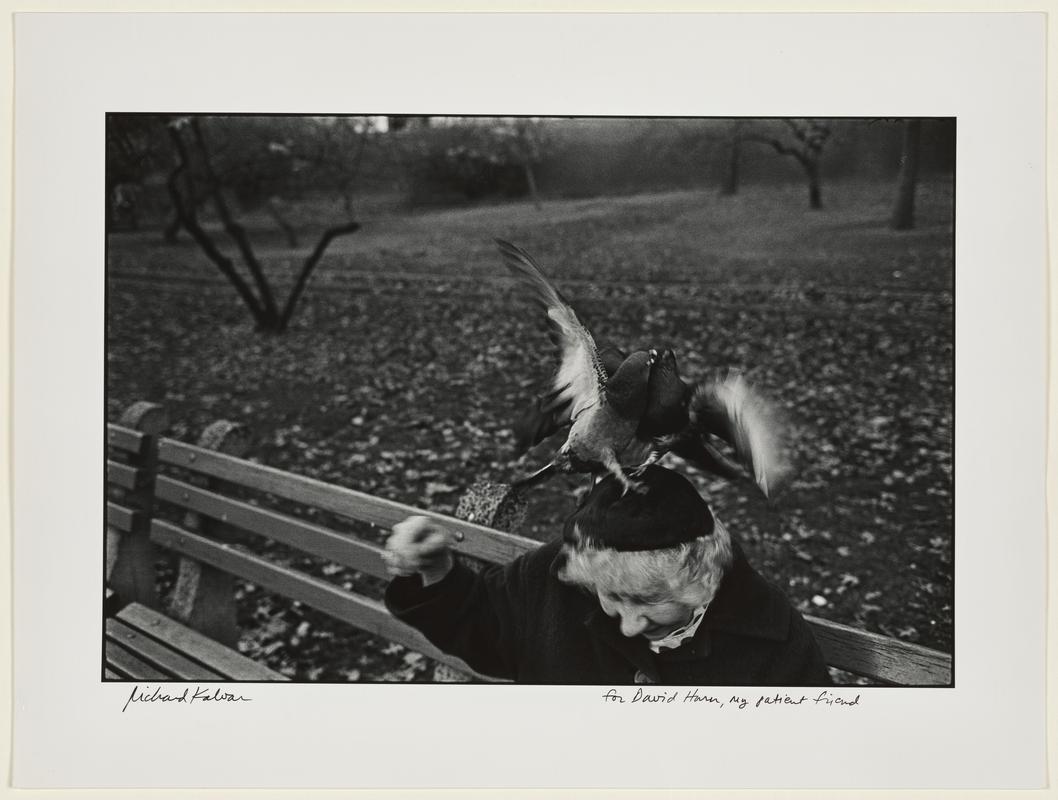 USA. New York. Central Park. Woman with Pigeons on her Head