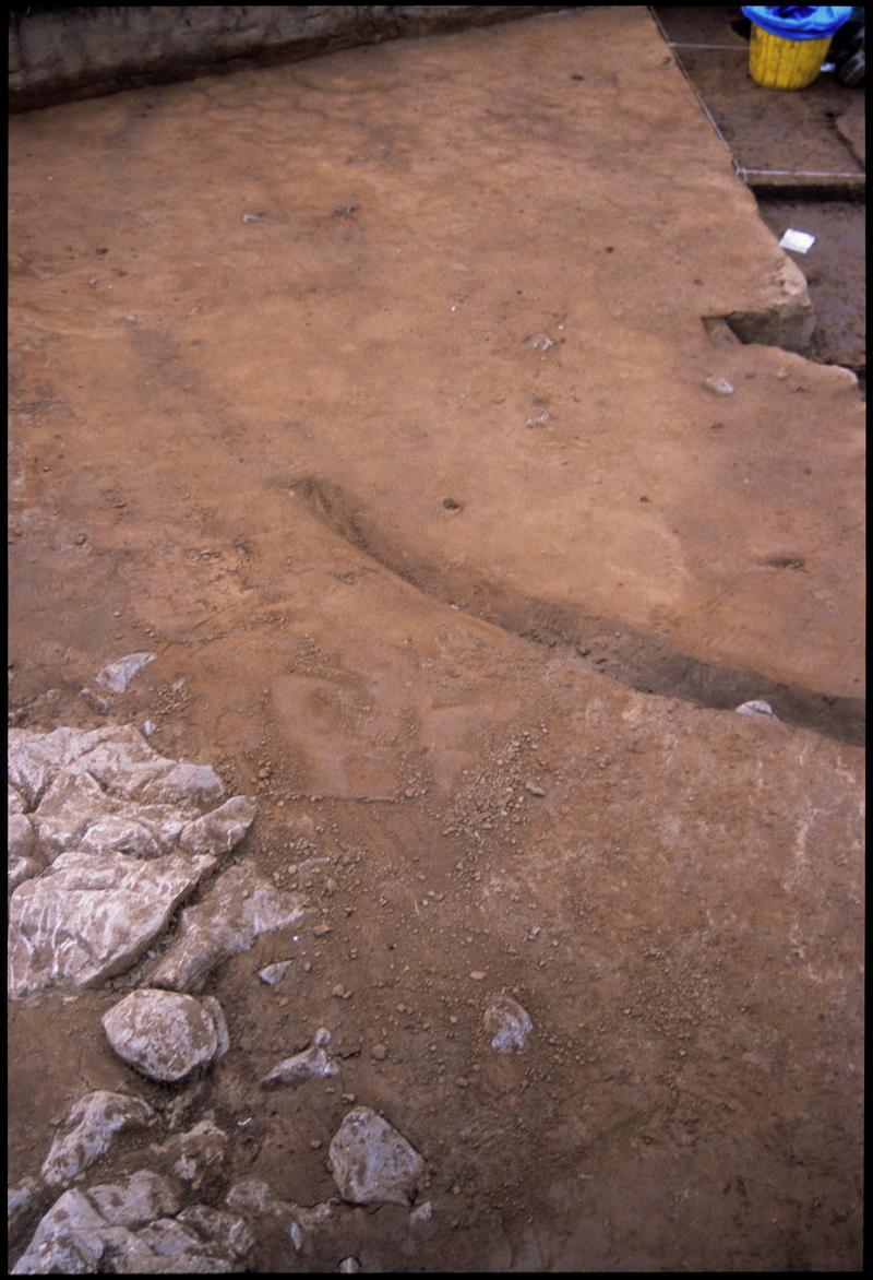 Burry Holms, Gower. 2001 Trench 4. Drip gully 54 exposed in the western extension of the trench. Looking north.