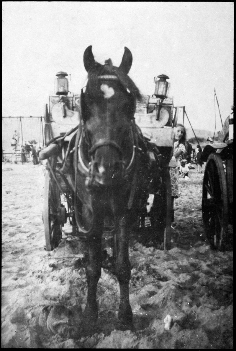 Collection of photographs belonging to Luigi Giovanni Rabaiotti