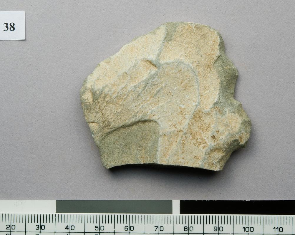 Prehistoric stone flake
