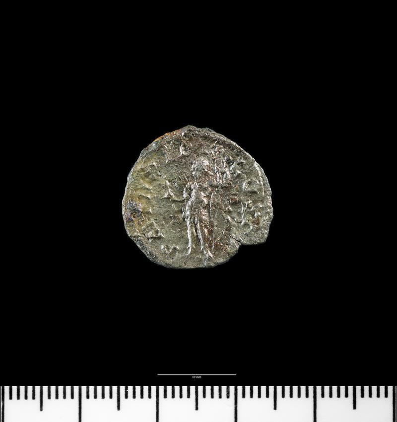 Caerleon Fortress Baths coins