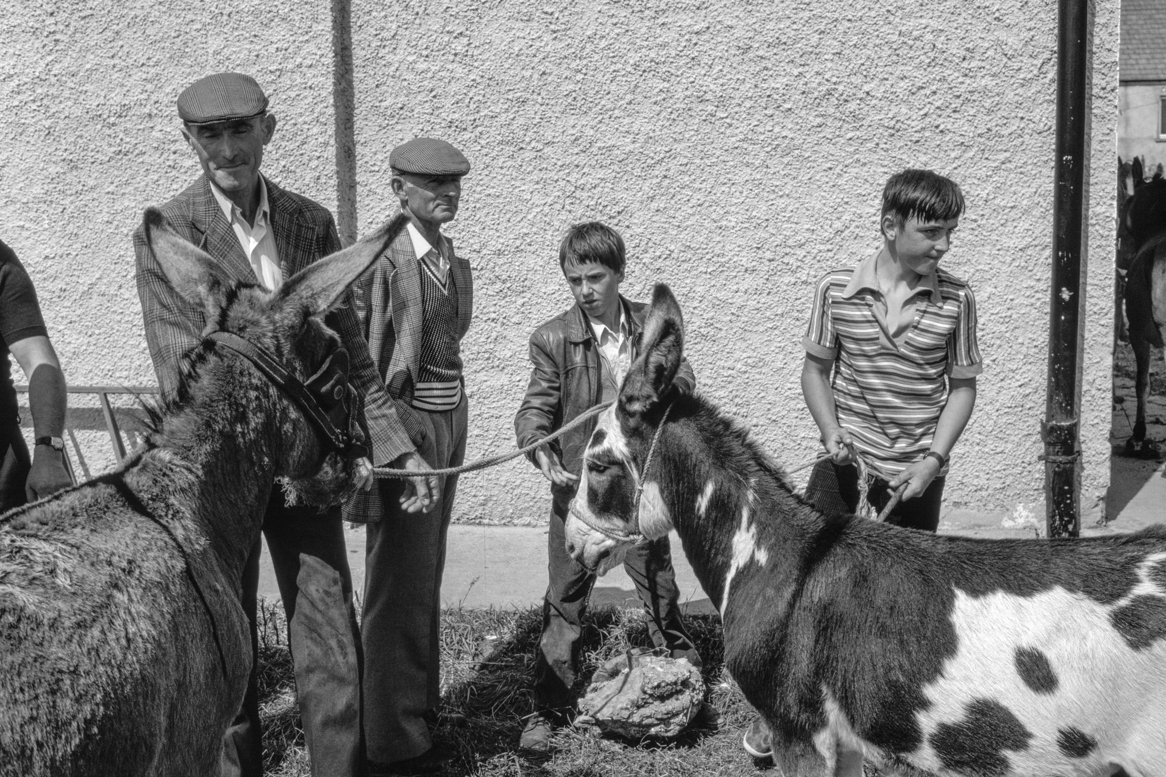 Puck Fair. The most attractive day is Gathering Day when their is the main sale of horses and donkeys. Killarney. Ireland